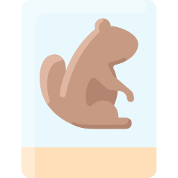 marmota icono