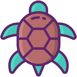 Turtle icon