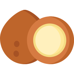 noix de coco Icône