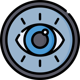 vision icon