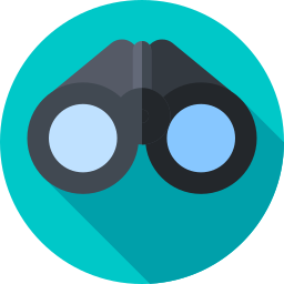 Binoculars icon