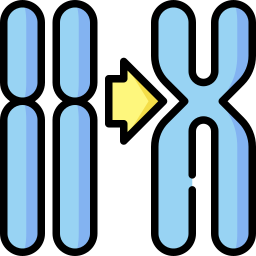 chromosome Icône