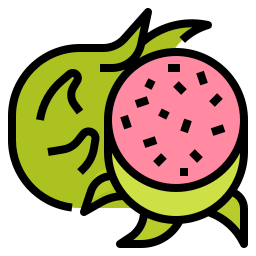 드래곤 과일 icon