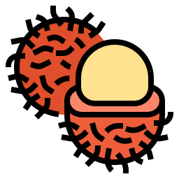 Rambutan icon