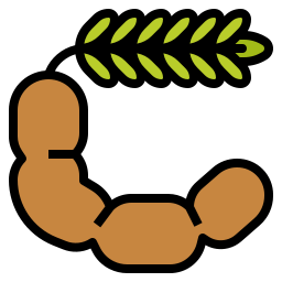 tamarinde icon