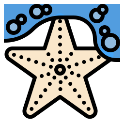 estrelas do mar Ícone