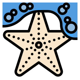 Starfish icon