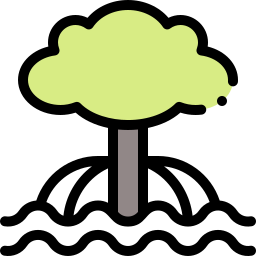 Mangrove icon