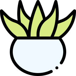 Aloe vera icon