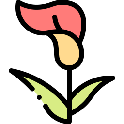 Calla lily icon