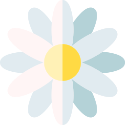 Daisy icon