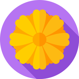 Flowers icon