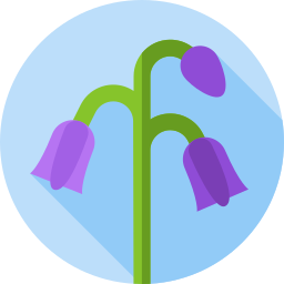 Flowers icon