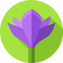 Flowers icon