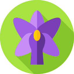 Flowers icon