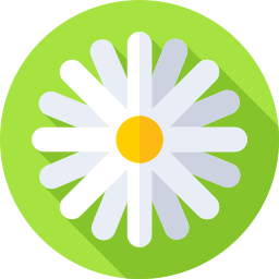 Flowers icon