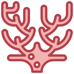 koralle icon