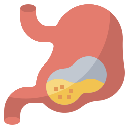 Stomach icon