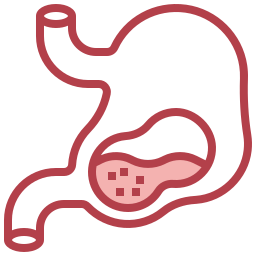 Stomach icon