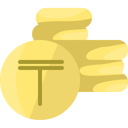 tenge icon