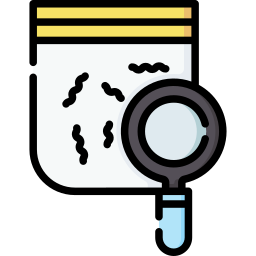 Evidence icon