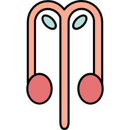 Reproductive system icon
