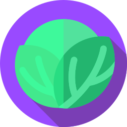 Cabbage icon