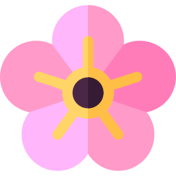 Saponaria icon