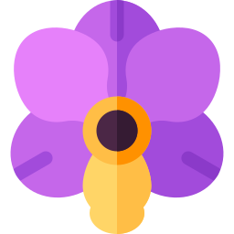 orchidea icona