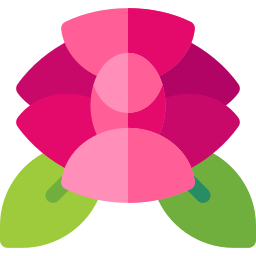 rose icon