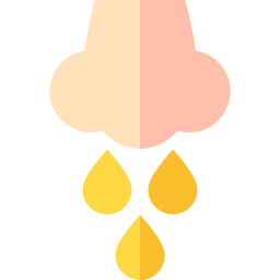 Mucus icon