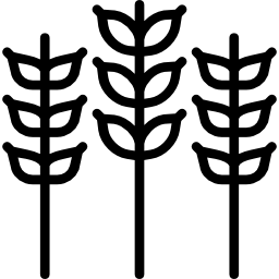 Зерна иконка