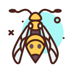 Bee icon