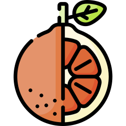 orange icon