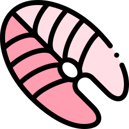 Salmon icon