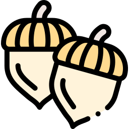 Acorn icon