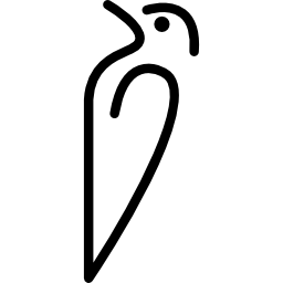 wariant zarysu ptaka ikona