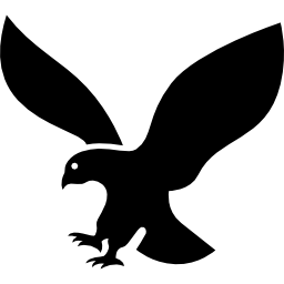 Eagle silhouette in flight icon