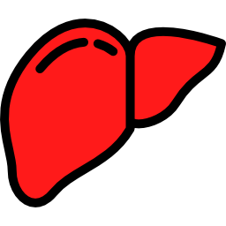 Liver icon