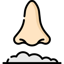 Sniff icon