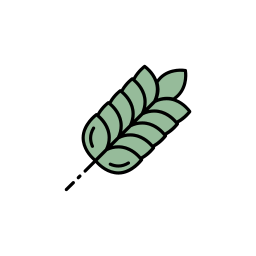 tarwe plant icoon