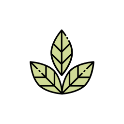 hoja de la planta icono