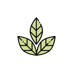 feuille de plante Icône