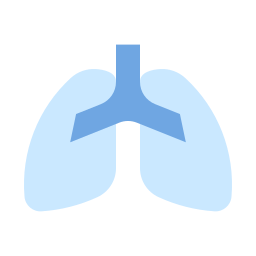 ludzkie płuca ikona