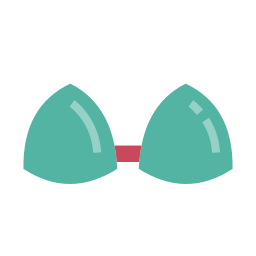 Bra icon