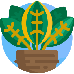 Plant icon