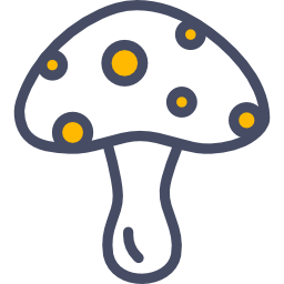 seta icono