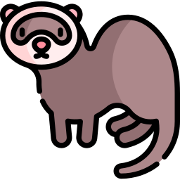 Ferret icon