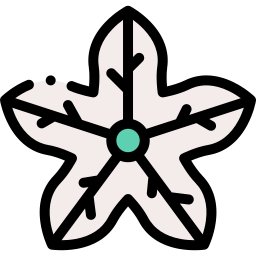 Flower icon