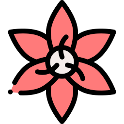 blume icon